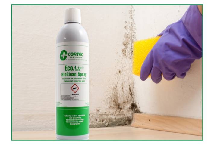 Cortek product