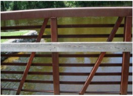 Bridge Protection